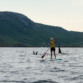 TURJENTER